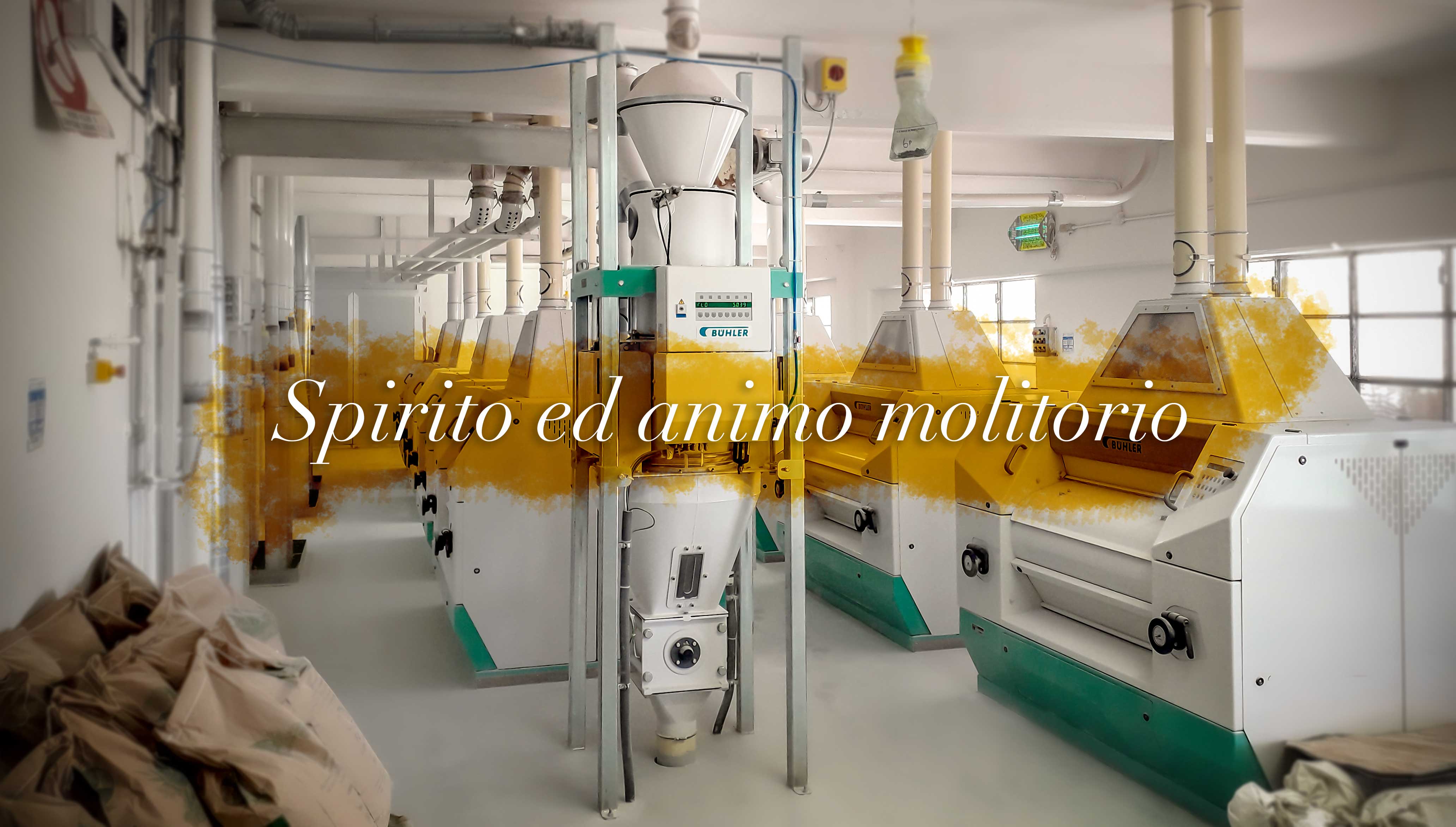 Spirito ed animo molitorio - Riccardi srl